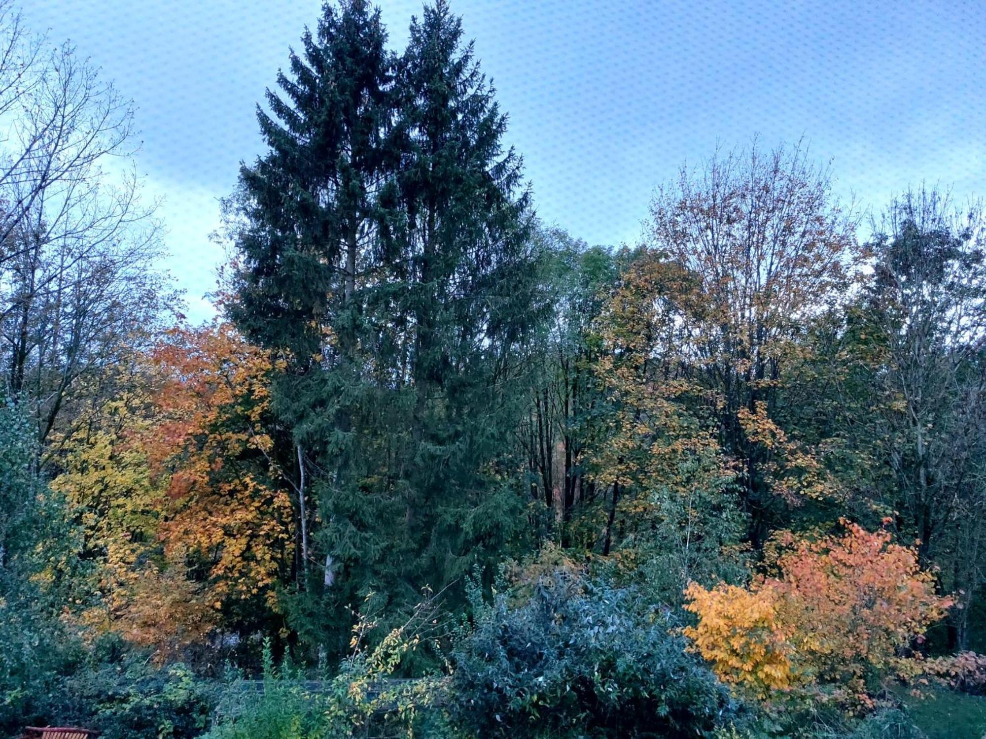Osterode am HarzOlifant In Osterode公寓 外观 照片