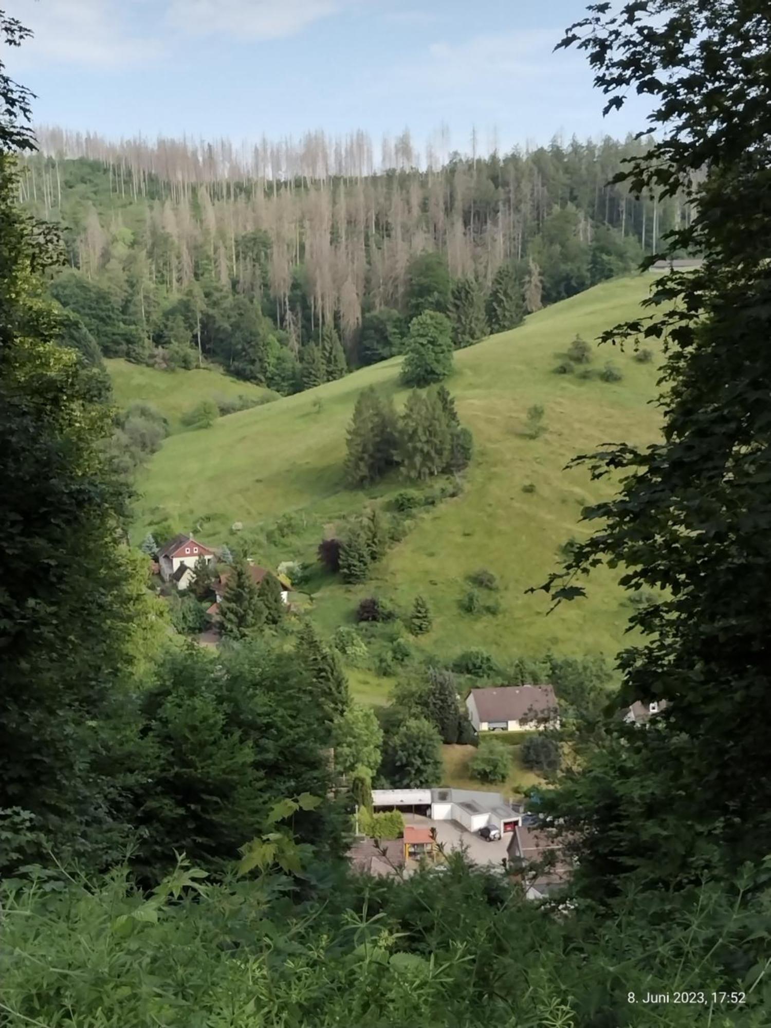 Osterode am HarzOlifant In Osterode公寓 外观 照片