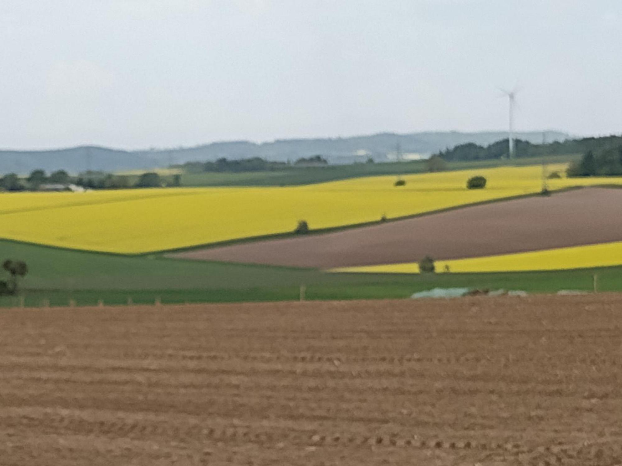 Osterode am HarzOlifant In Osterode公寓 外观 照片