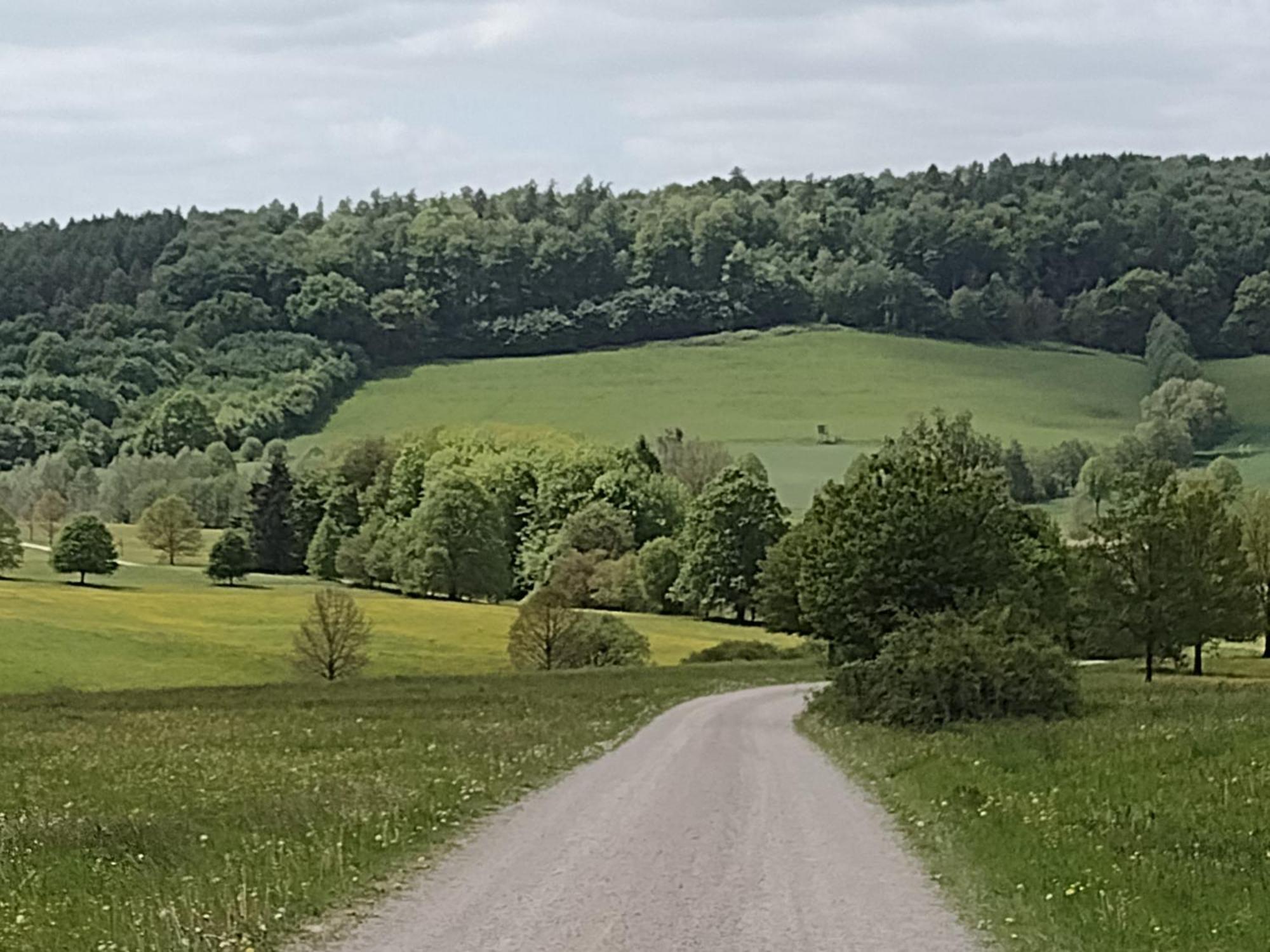Osterode am HarzOlifant In Osterode公寓 外观 照片