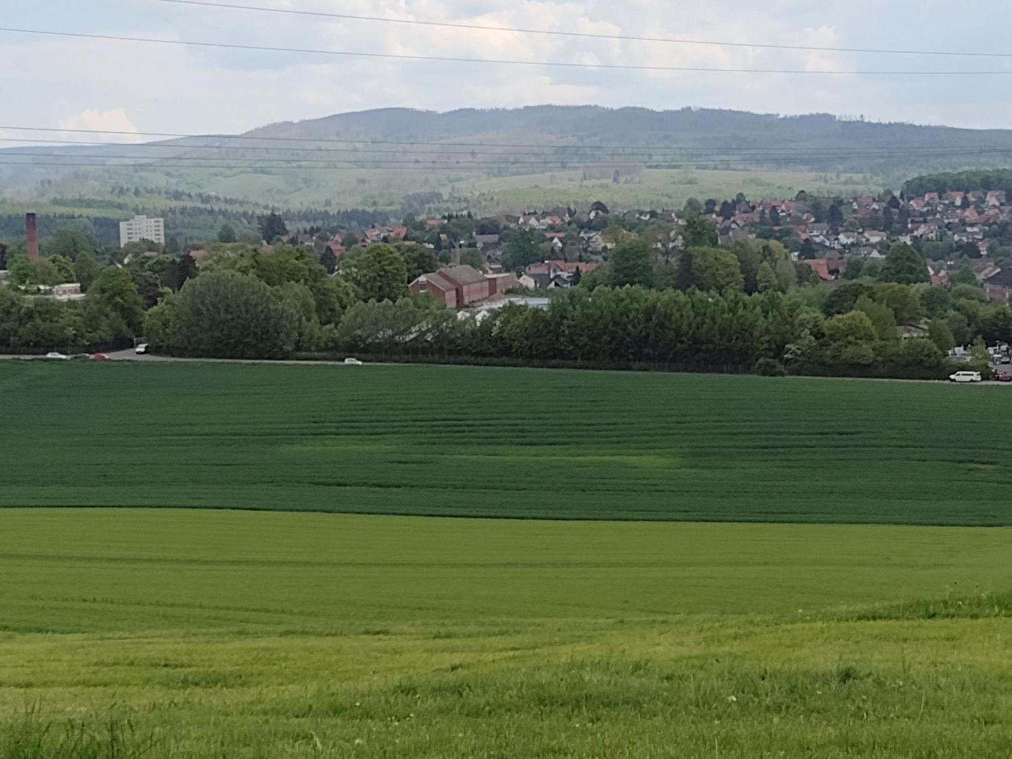 Osterode am HarzOlifant In Osterode公寓 外观 照片