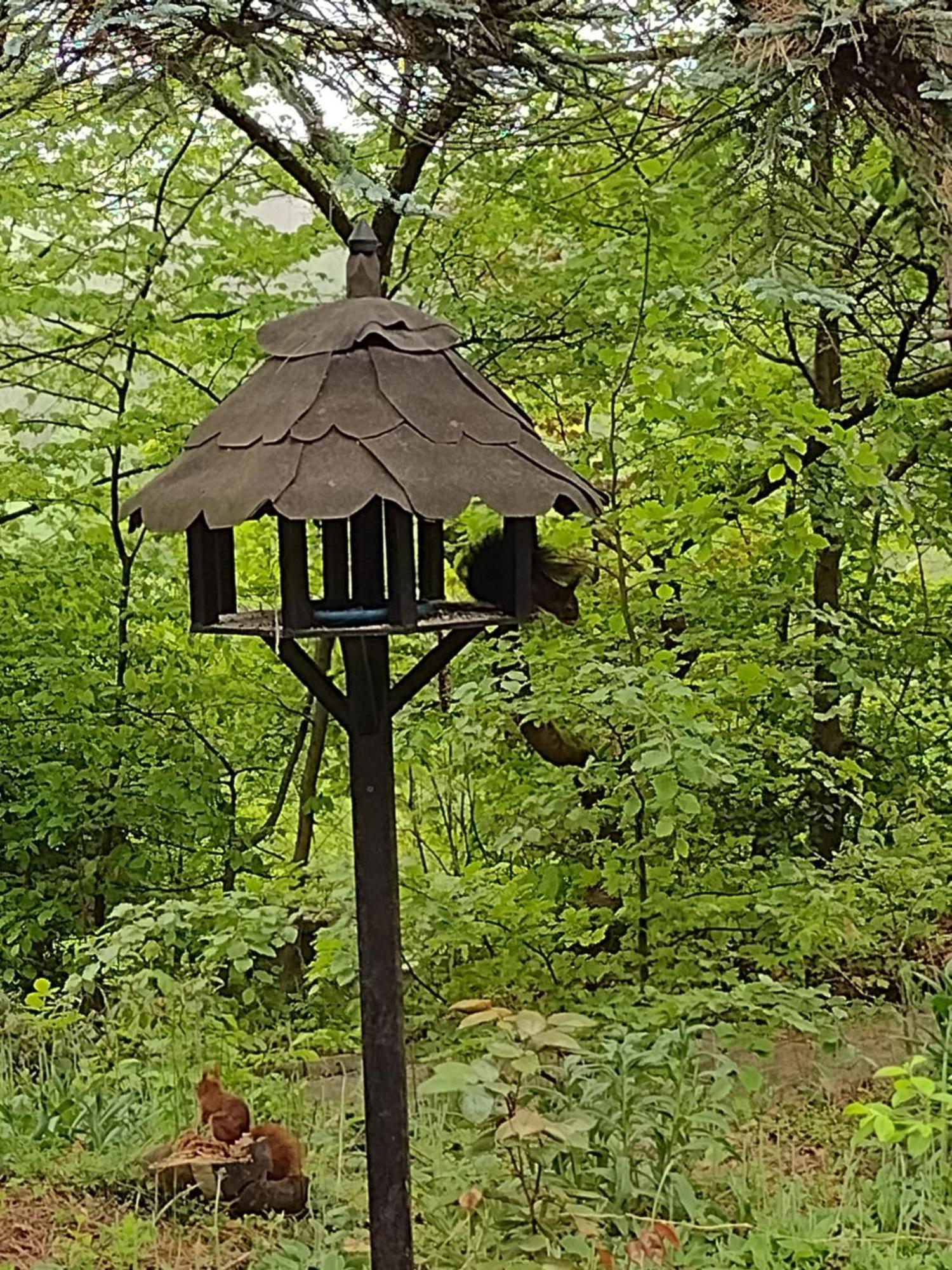 Osterode am HarzOlifant In Osterode公寓 外观 照片